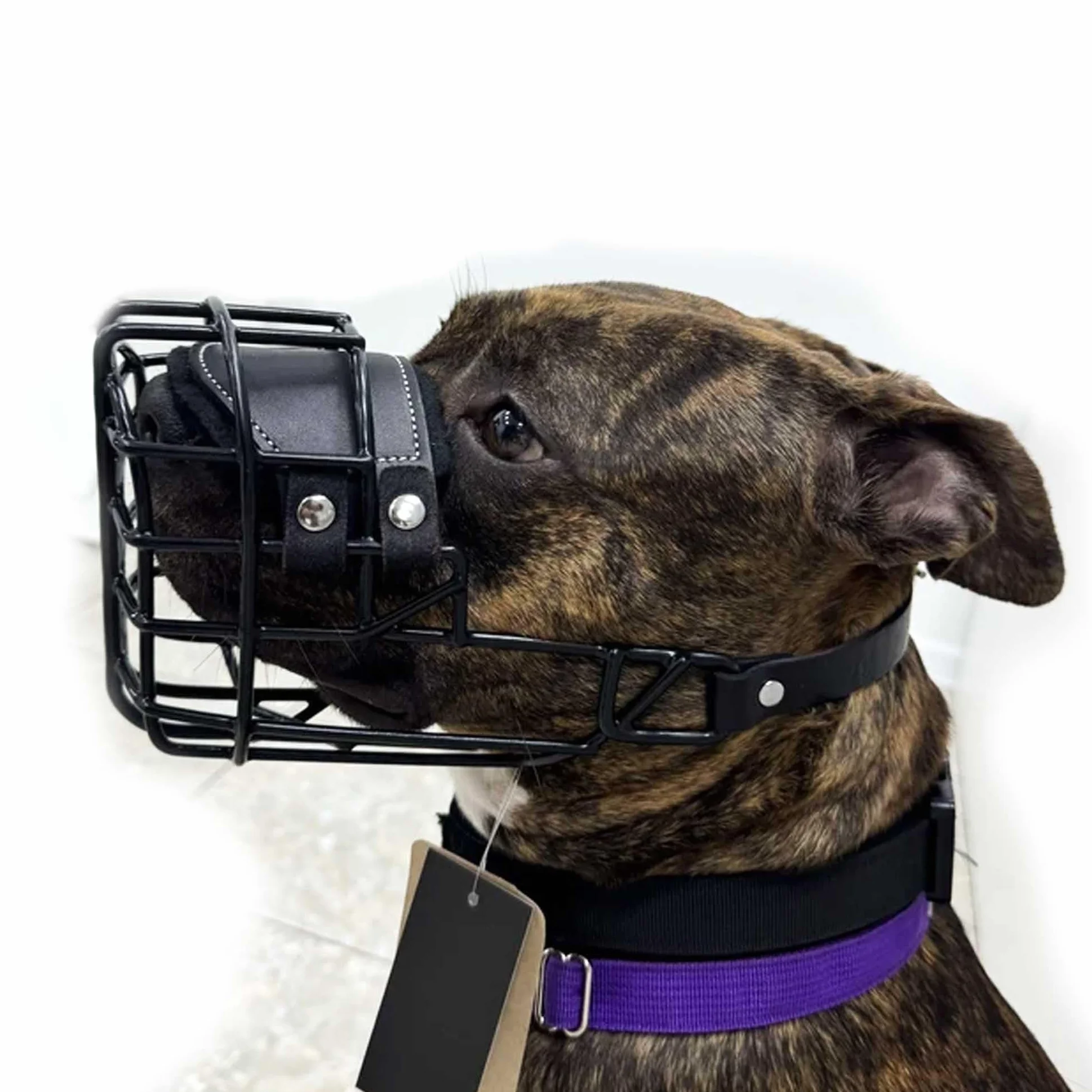 Bozal de Metal para Perro #37 para Amstaff y Pit Bull - Cesta de Alambre recubierta de plástico para Calavera Ancha - Correas de Cuero Transpirables y Ajustables