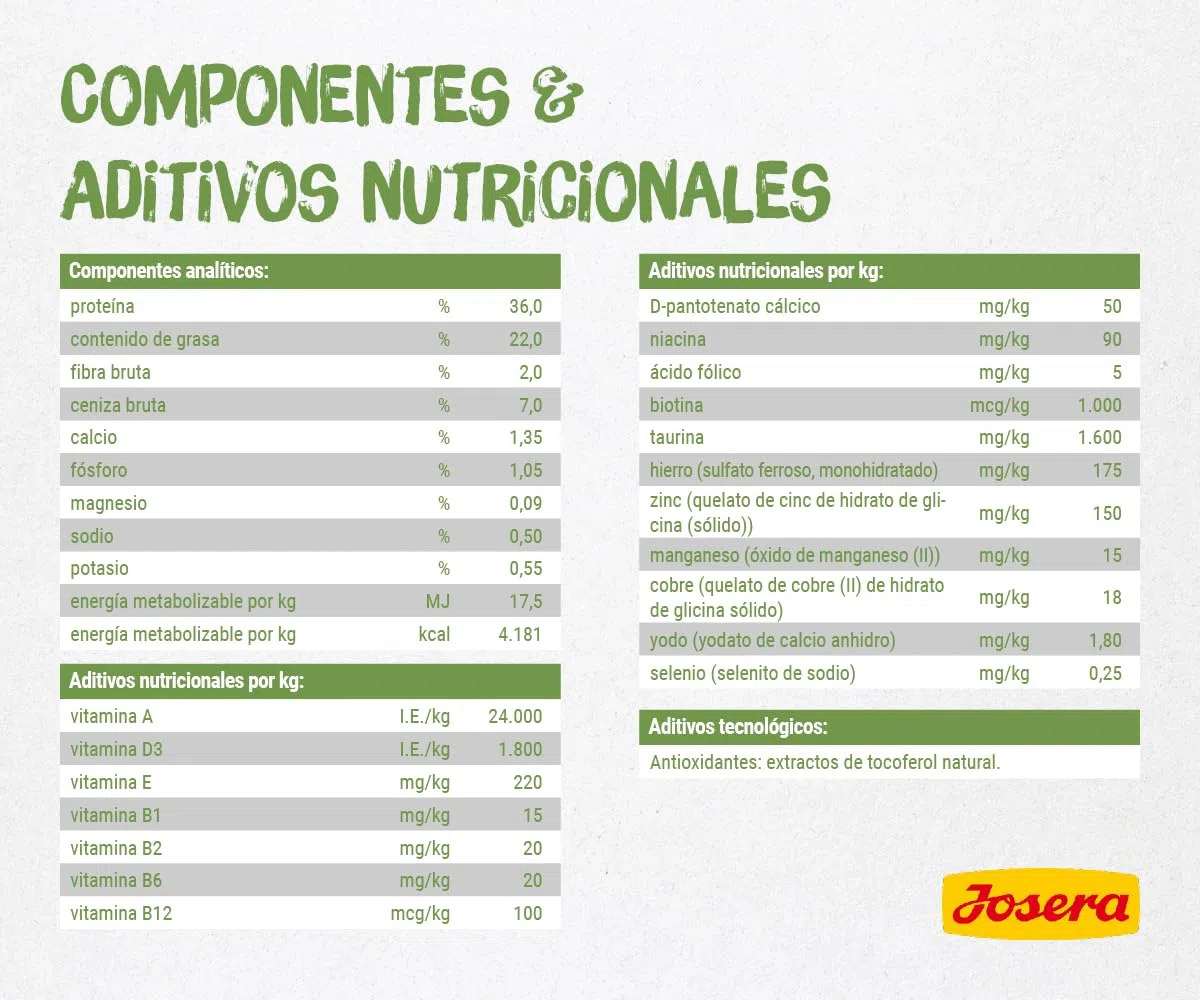 JOSERA Kitten grainfree (1 x 10 kg) | Un pienso completo para gatas gestantes, lactantes y en crecimiento | sin cereales con valioso aceite de salmón | 1 unidad