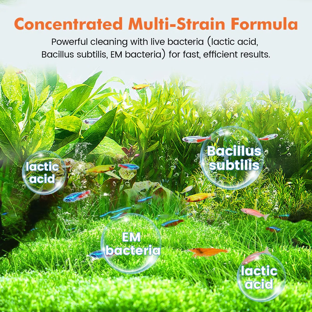 hygger Bio-clarificador de agua de acuario, reduce el desperdicio de peces y limpieza de lodos orgánicos, solución natural de gestión de residuos para acuarios de agua dulce y salada, 1000 ml