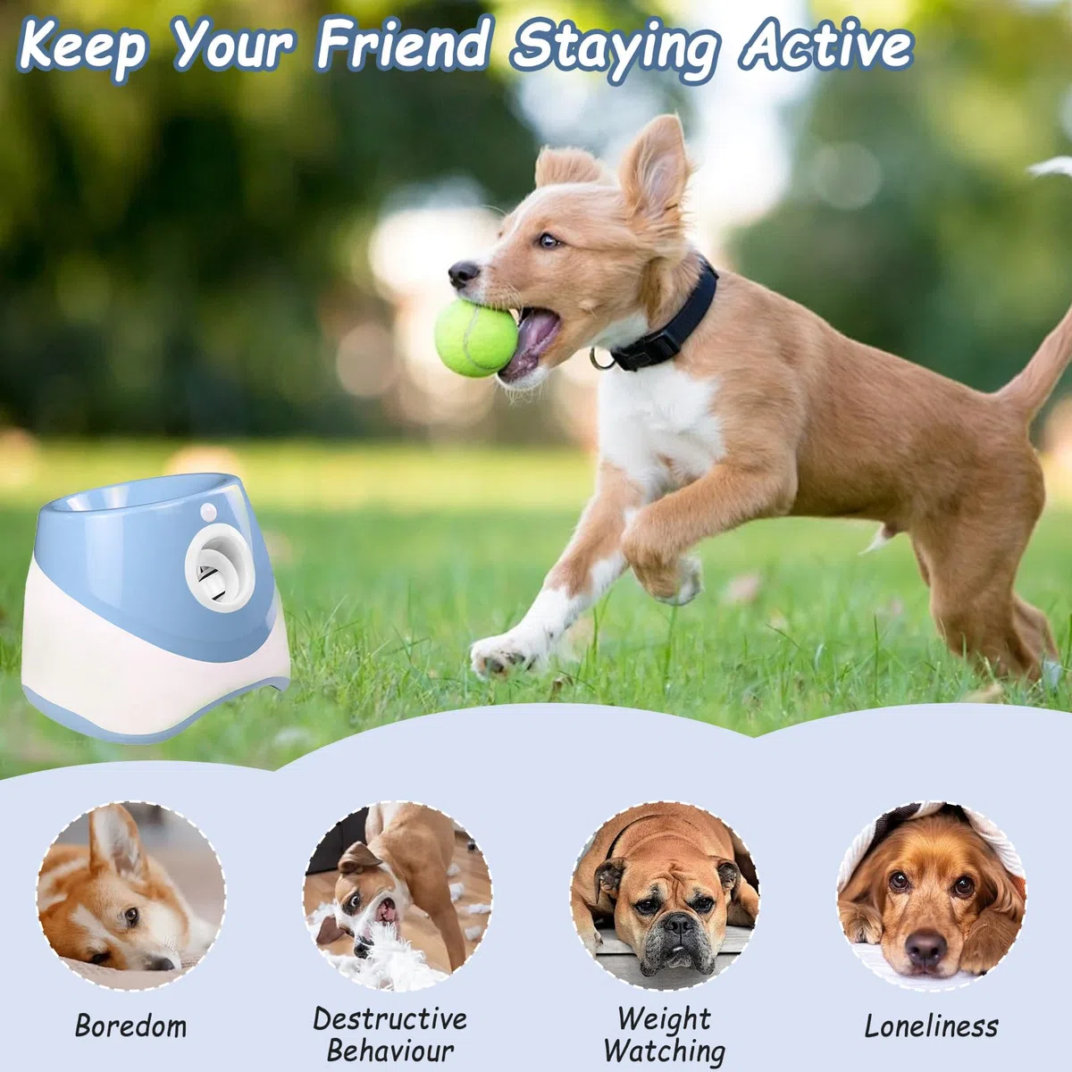 HAMON Lanzador de bolas automático para perros, máquina de lanzamiento de bolas para perros con 6 pelotas de tenis, máquina interactiva para perros pequeños y medianos, distancia de lanzamiento entre