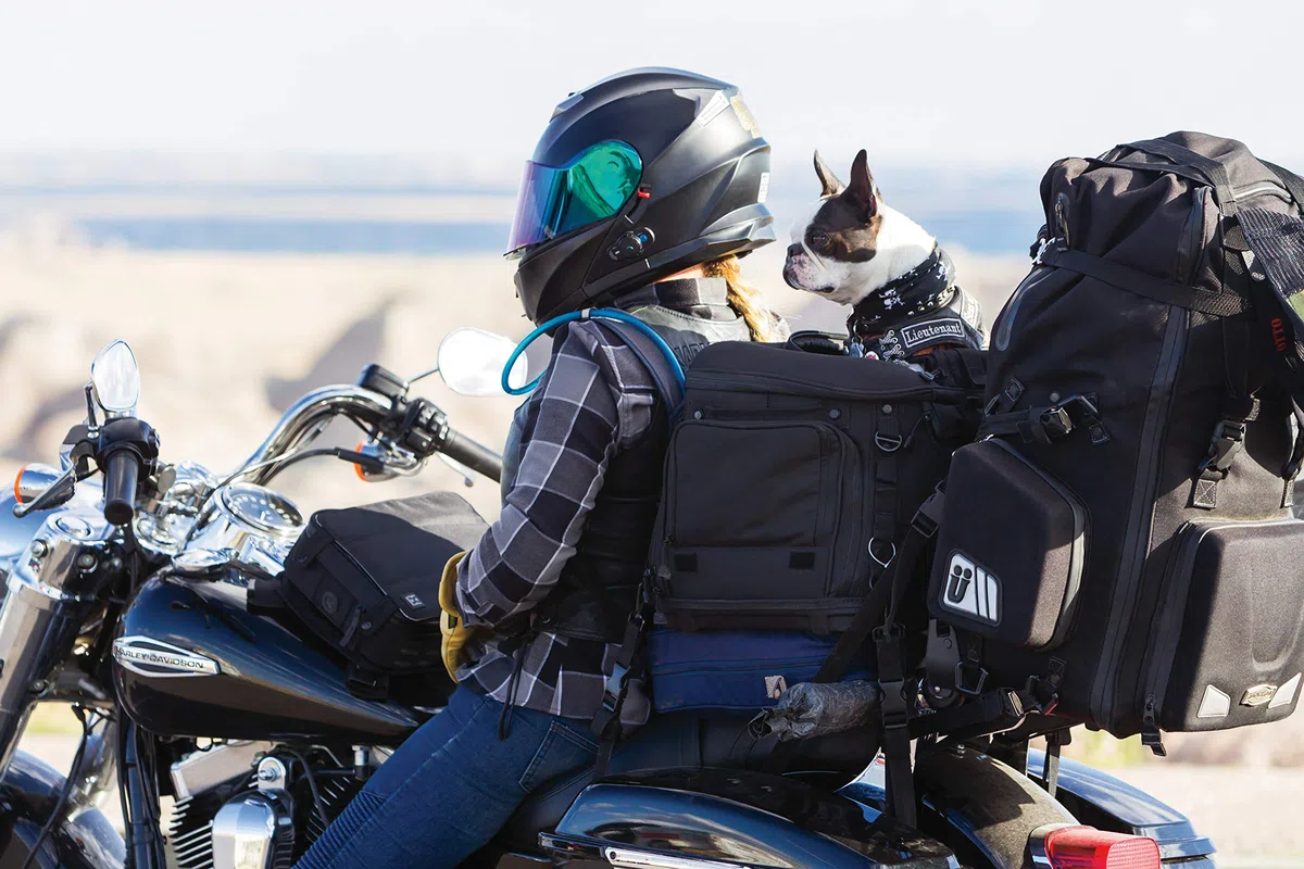 Kuryakyn 5288 Grand Pet Palace: transportador portátil Resistente a la Intemperie para Perros y Gatos para portaequipajes