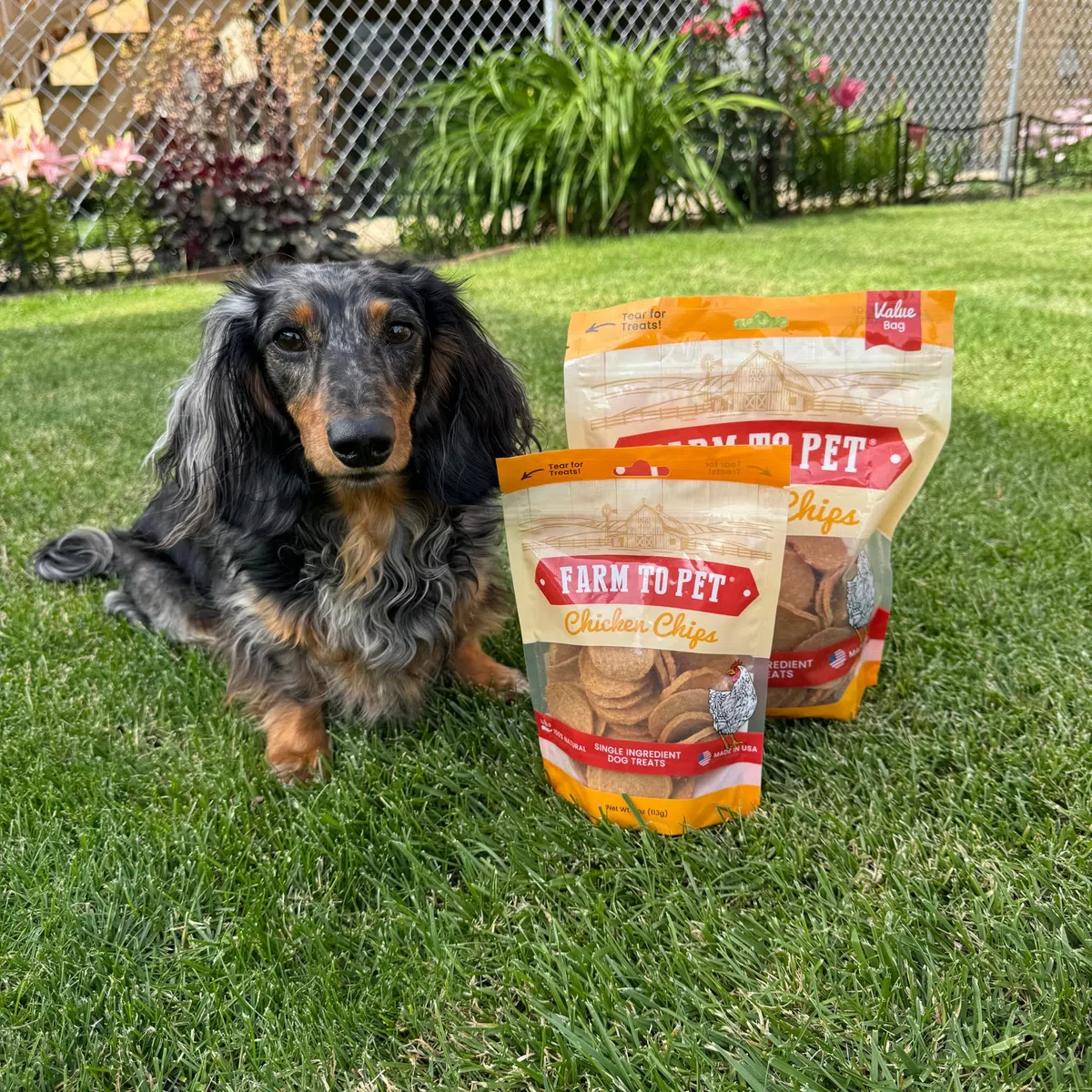 One Bark Foods LLC Farm To Pet Training Treats - Chips De Pollo, Ingrediente Único, Magro, Todo Natural, Golosinas Saludables para Perros Pequeños, Medianos, Grandes Y Cachorros, Hechos En EE. UU.