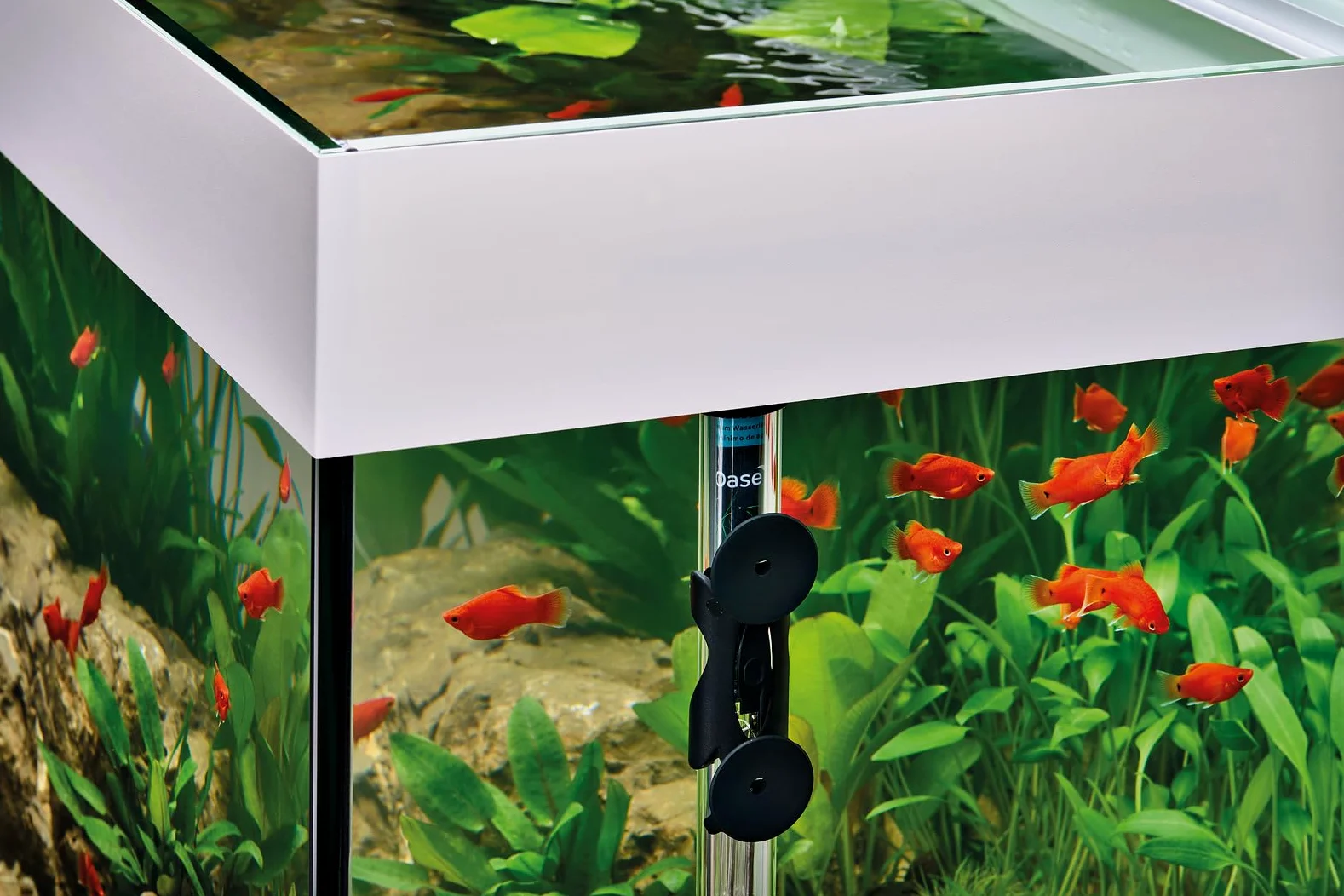 OASE Calentador de Acuario HeatUp 25