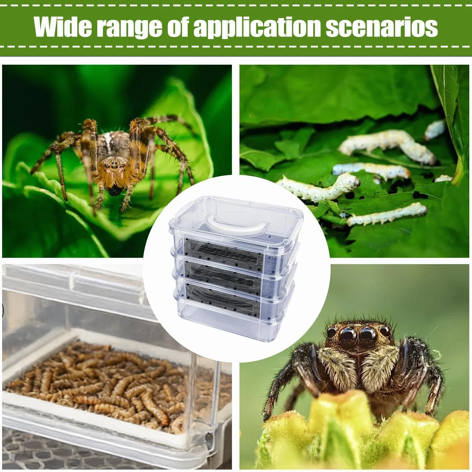 Kit de Cría de de la Harina Contenedor de Malla Transparente de 4 Niveles | para con Asa para Reptiles, Arañas, Aves, Pollos, Lagartos, Dragones Barbudos