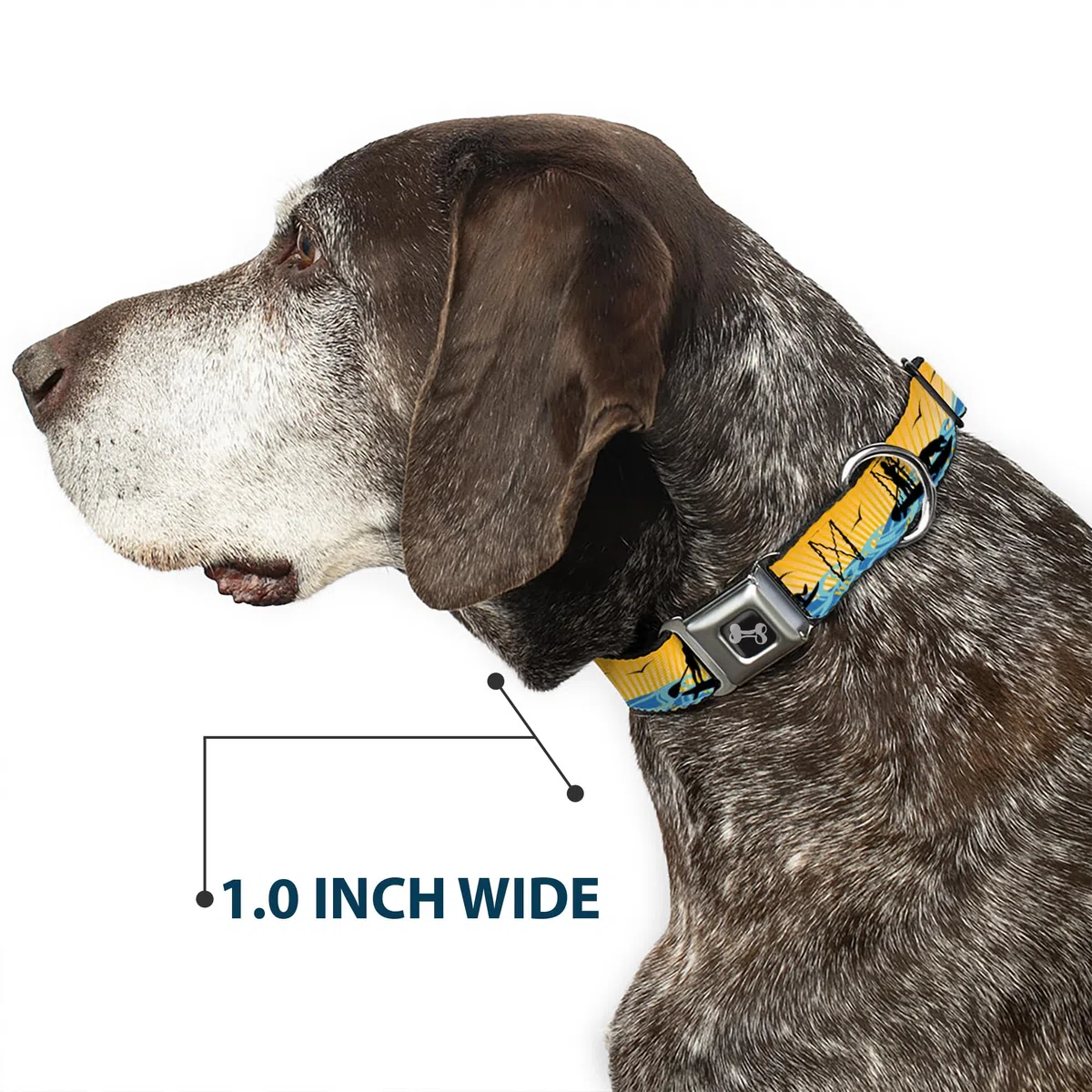 Buckle-Down DC-W37116-WS - Cinturón de Seguridad para Perro, Talla S, Color Negro y Amarillo