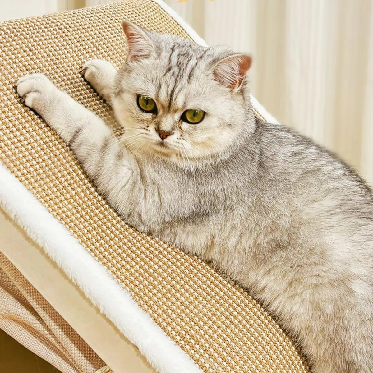 Tienda Cama Gatos Tablero De Rascador Sisal Y Casa | Tienda para en Interior del Hogar Dormitorio Habitación de Mascotas Suelo Invierno
