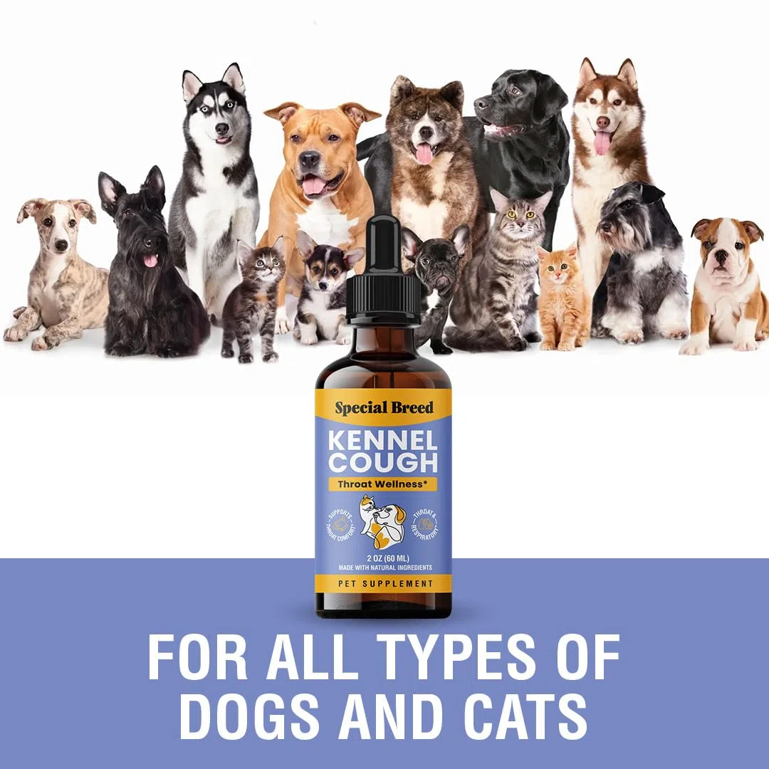 Soporte para la tos de perrera para perros y gatos – Ayuda con la tos seca, húmeda y ladrida – Apoyo respiratorio y garganta de mascotas a base de hierbas, apoya la respiración y las vías
