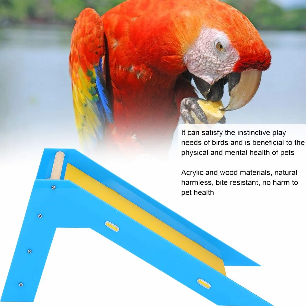 Juguetes de Diapositivas de Loro Entrenamiento de Aves Juguetes educativos Escaleras de Escalada de Loros Perchas Juguetes para Periquito Budgie Cockatiel Conure Lovebird Finch