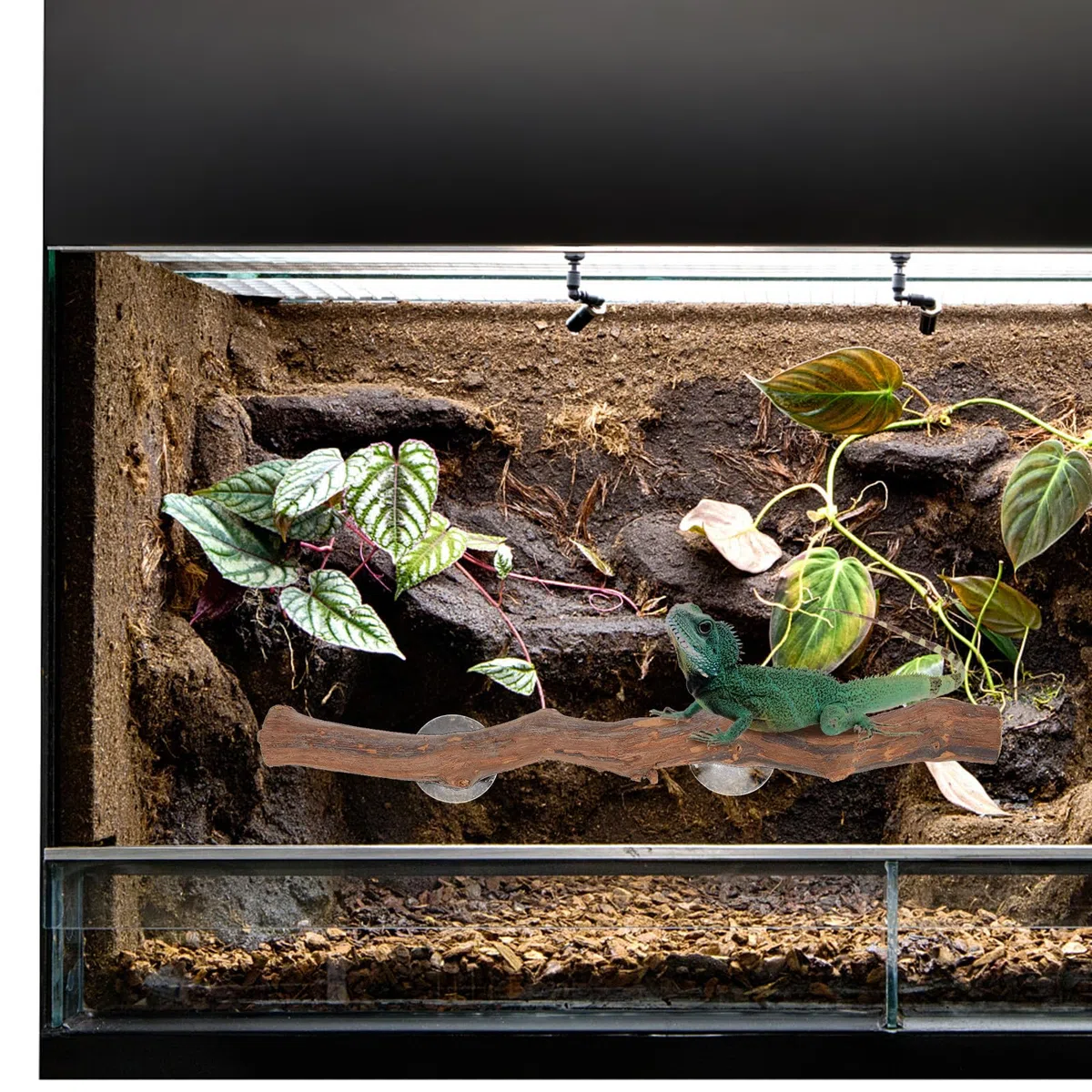 Rama De Árbol De Madera para Reptiles y Dragón Barbudo Ventosa, Juguete De Escalada De Madera Natural, Soporte De Pie Decorativo para Terrario, Accesorio para Reptiles Domésticos