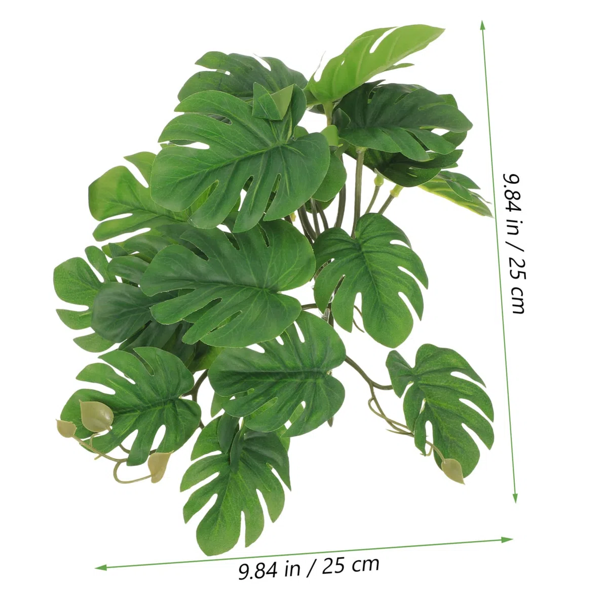 BESPORTBLE 5 Piezas De Decoración De Plantas De Reptiles Decoraciones De Terrarios Contenedores De Vidrio Enredaderas Terrarios De Reptiles Decoraciones Ligeras para El Hogar