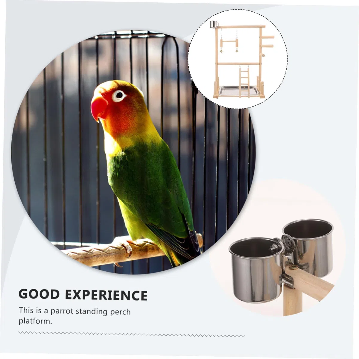 DOITOOL 1juego Soporte para Periquitos y Aves Área De Ejercicio Interactiva Comederos y Juguetes para Entrenamiento y Diversión De Mascotas