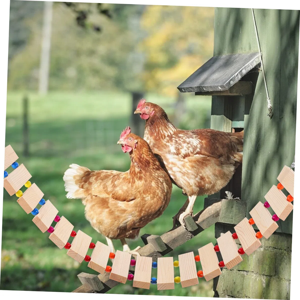 Mipcase Juguetes para Gallineros Percha para Pollos de Madera Escalera de Juguete para Aves de Corral Soporte para Gallinas