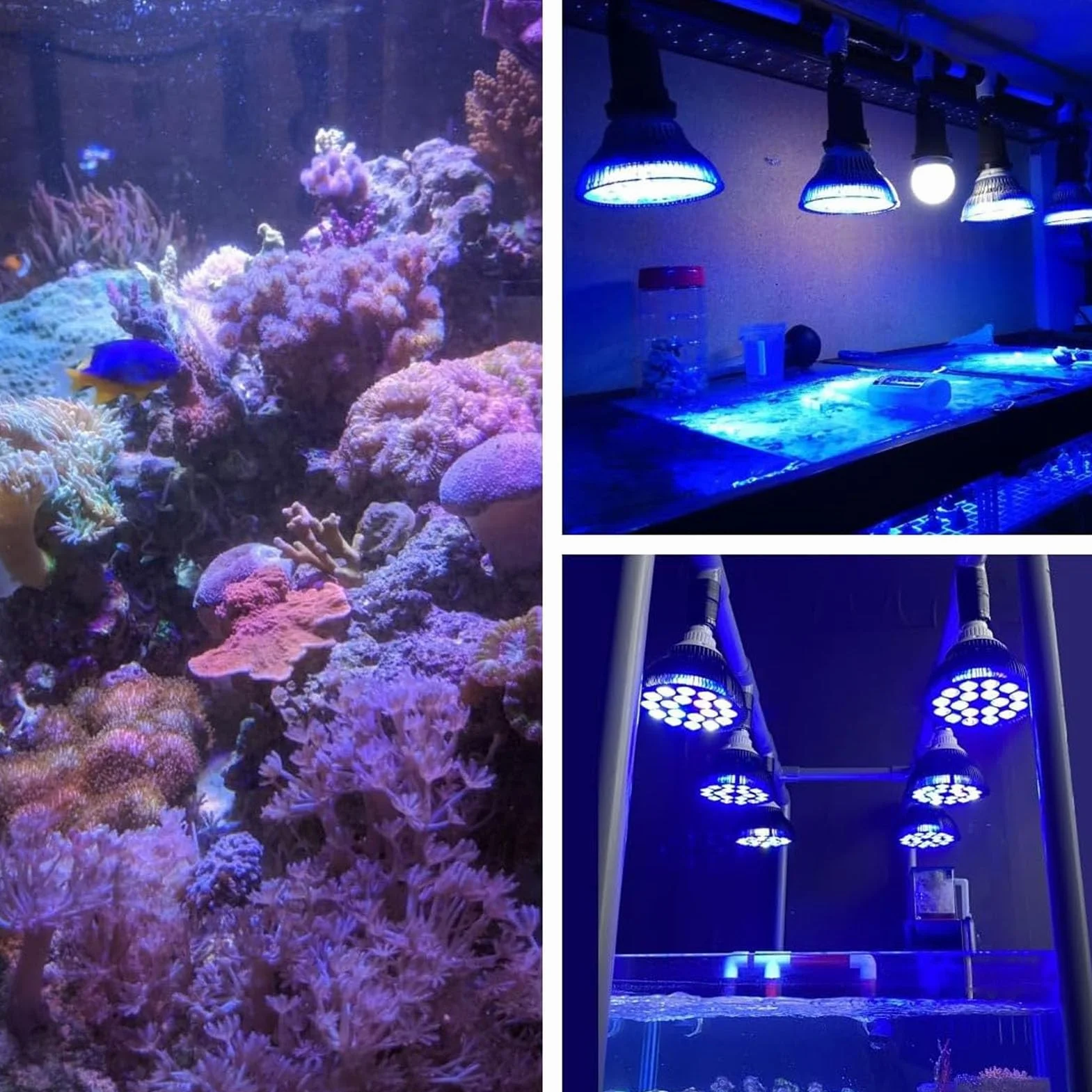 Luz LED para pecera, luces de acuario de espectro completo, lámpara de cultivo de plantas acuáticas, luces LED de arrecife para hábitat de tortugas marinas de coral, 18W