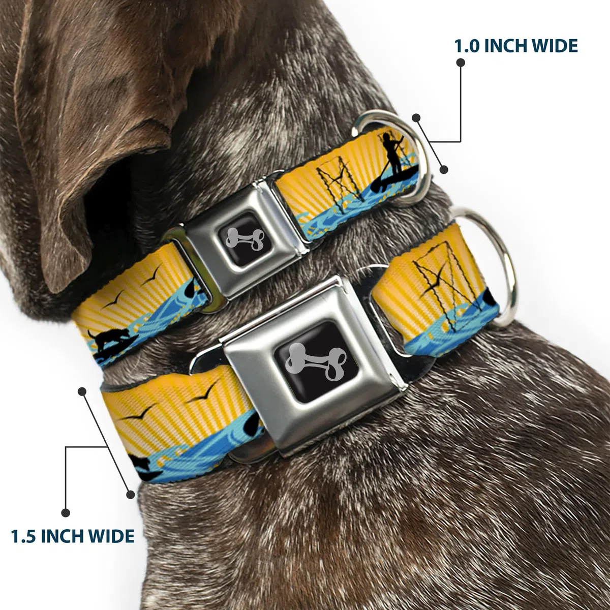 Buckle-Down DC-W37116-WS - Cinturón de Seguridad para Perro, Talla S, Color Negro y Amarillo