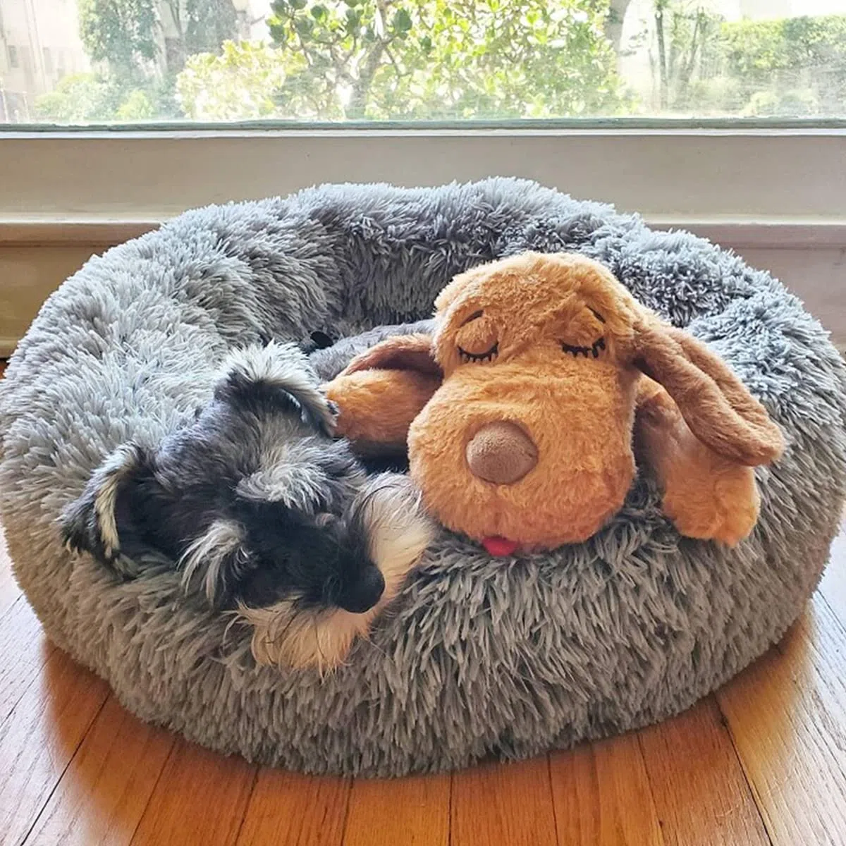 Snuggle Puppy Original Essentials - Kit de iniciación. Juguete para perro con latido del corazón y ayuda calmante con 3 paquetes de calor, juguete de dentición para cachorros, juguete masticable para