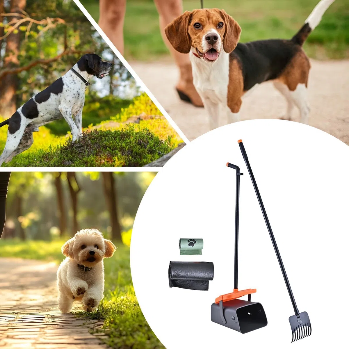 Pala para de gatos Pala Tamiz con Mango Largo para Perro