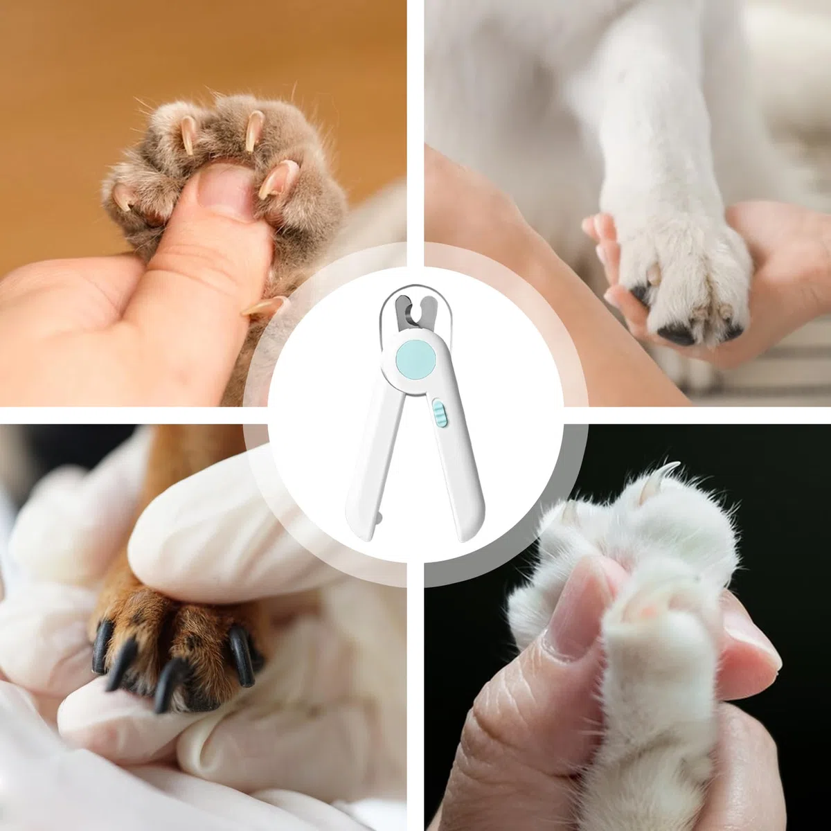Cortauñas para Mascotas, Cortauñas for Cachorros con luz, Herramienta de Aseo suavizante, for Animales pequeños, Conejos, pájaros, Gatitos, Uso doméstico en Interiores