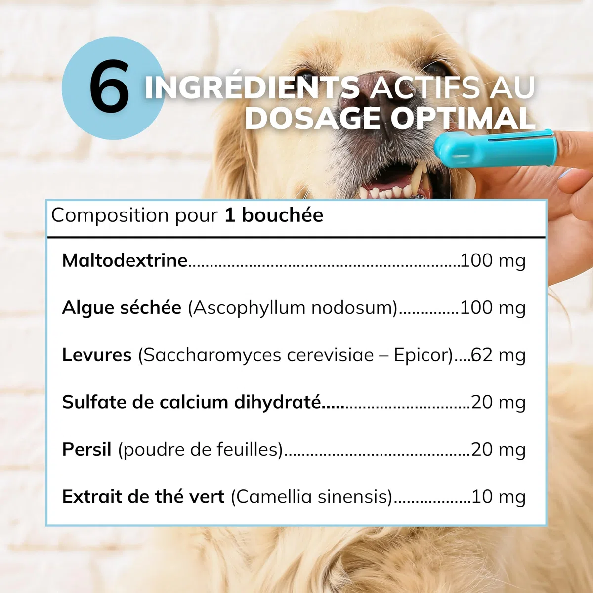 Aliento, placa y sarro para perros | Higiene oral y aliento fresco | Algas, levaduras, perejil y extracto de té verde | Suplemento dental | 60 bocados | Fórmula veterinaria francesa