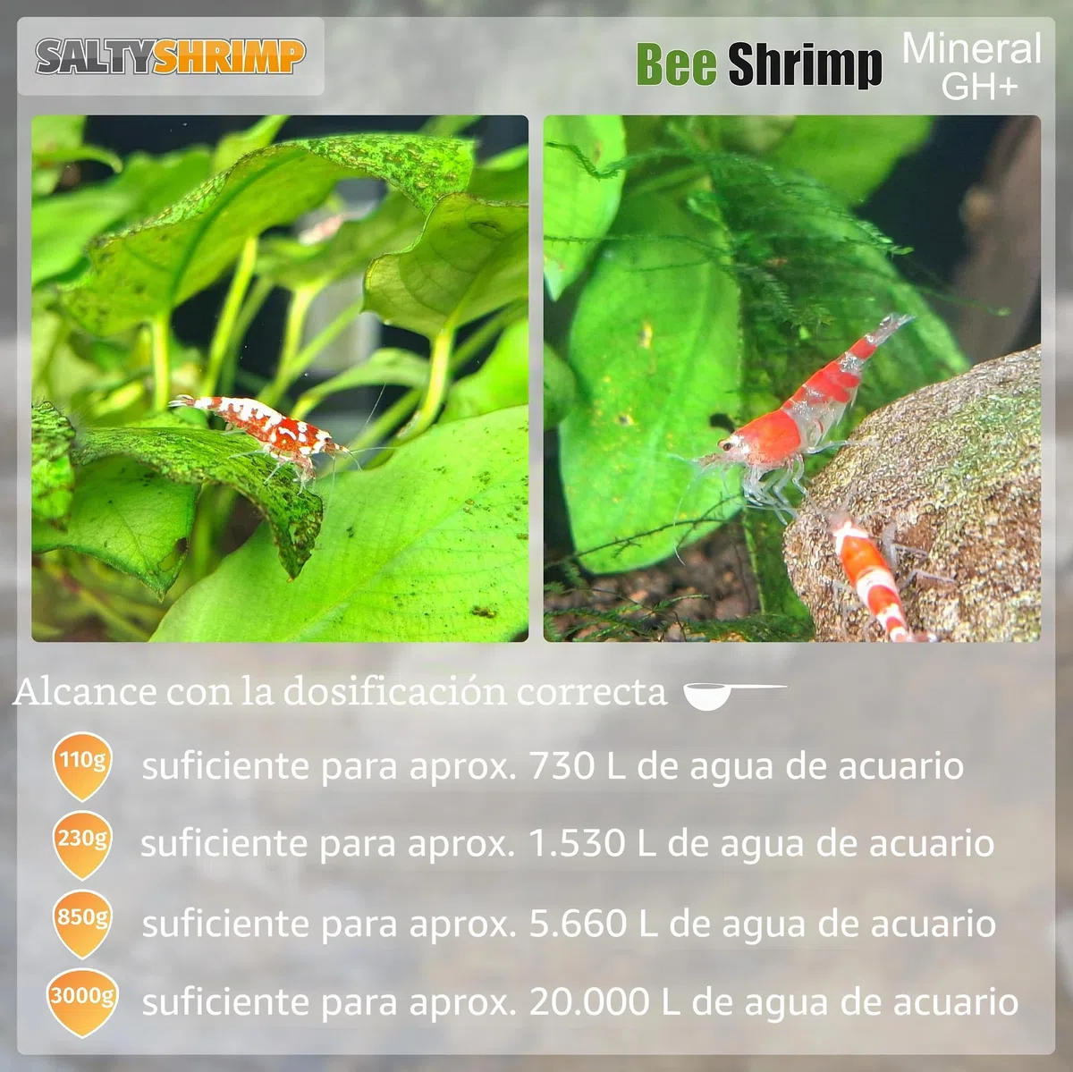 Bee Shrimp Mineral GH+ | 850g - Sal Mineral, Especialmente desarrollada para camarones Abeja, abejorro y Tigre. Aumenta la dureza Total del Agua