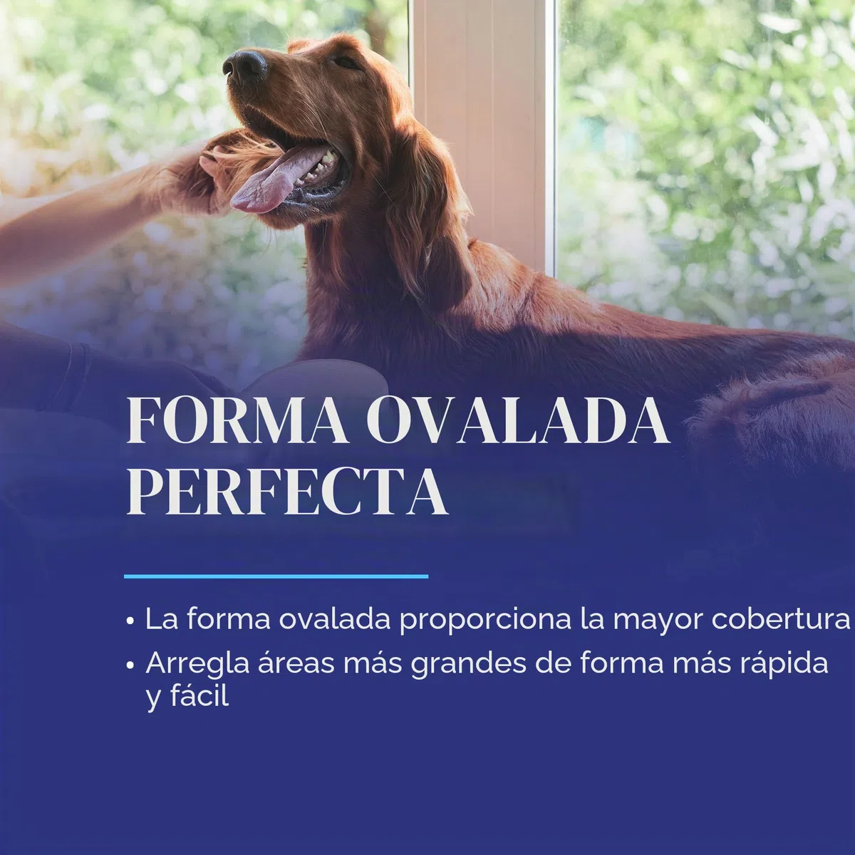 Chris Christensen Cepillo para perro, cepillo ovalado de 27 mm, serie original, Groom Like a Professional, pasadores de acero inoxidable, cuerpo de madera de haya ligera, puntas pulidas y pulidas