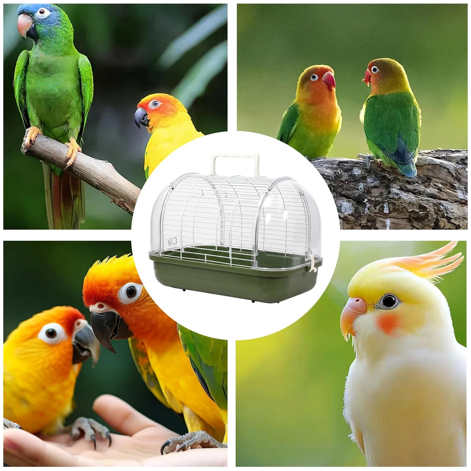 Transportín para Aves de Transporte con Posadero y Ventana Transparente | Jaula Para Conuros Y Otras Aves para Periquito Canario Cacatúa Ninfa y Dragón Barbudo