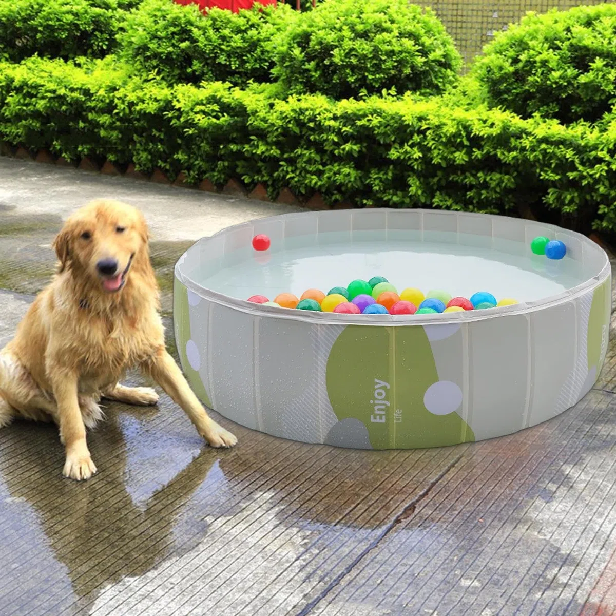 Piscina para Mascotas Portátil Plegable De PVC