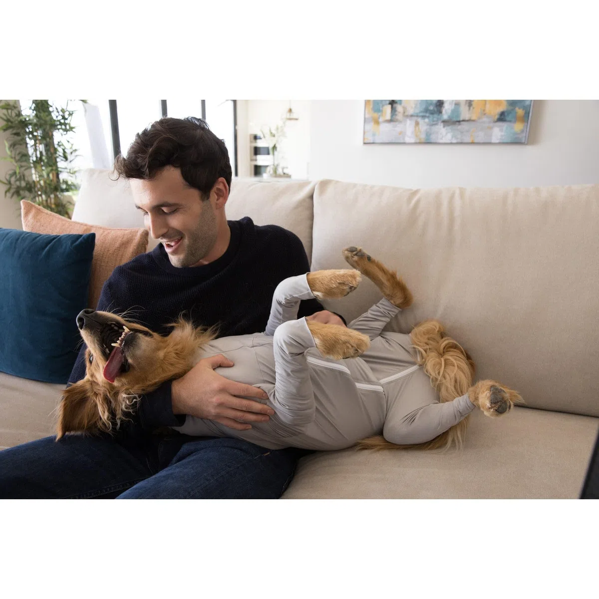 Shed Defender - Perro Onesie/estética - Contiene el derramamiento de Pelo de Perro, Reducir la ansiedad, Reemplazar Cono Médico (XXL (90-140 lbs.),Azul Real)