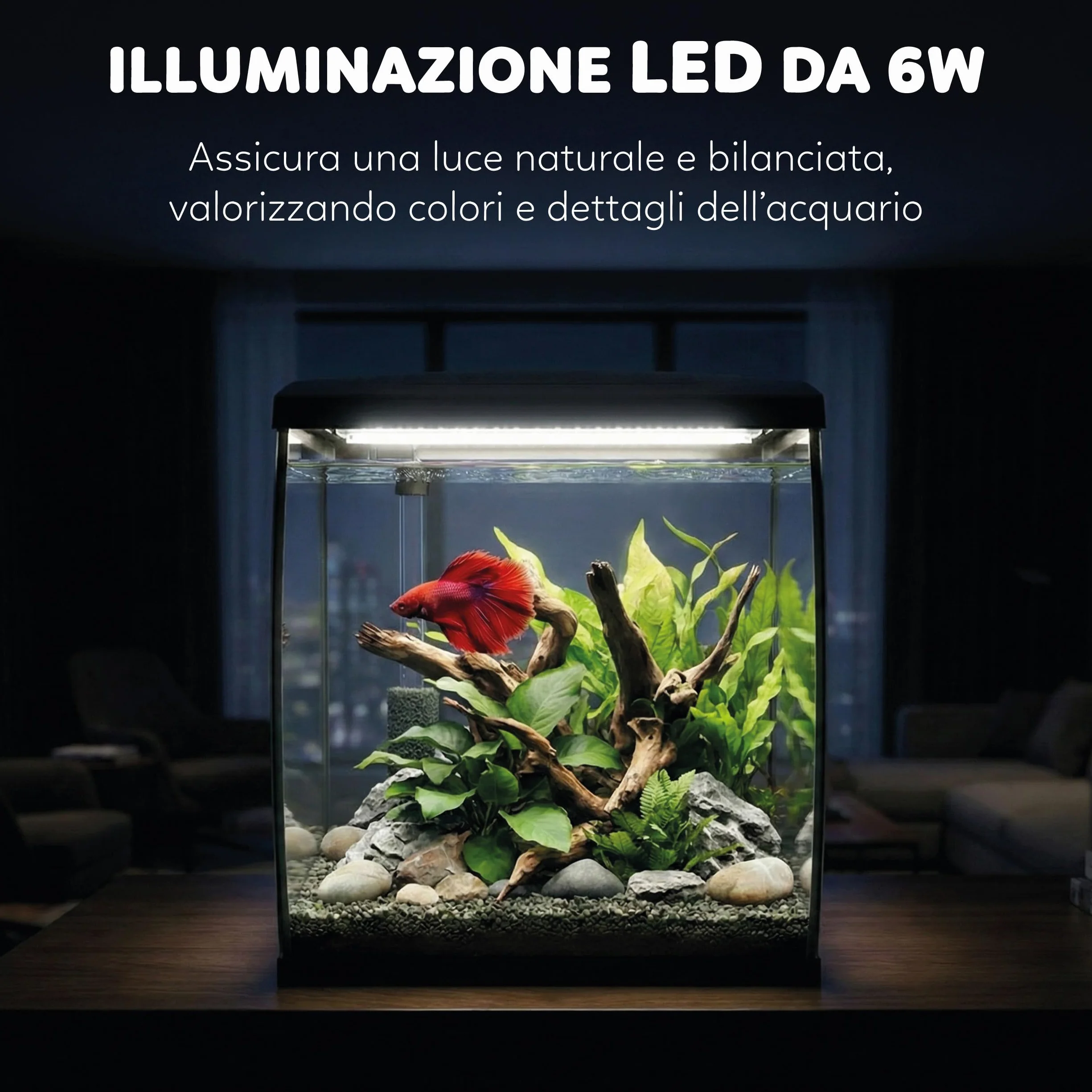AQPET Acuario Curvo de Cristal Curvado 35 l con Filtro Superior Integrado y LED 6 W – Acuario de diseño de Escritorio con Bomba incluida y Tapa para dispensador automático de Alimentos (Negro)