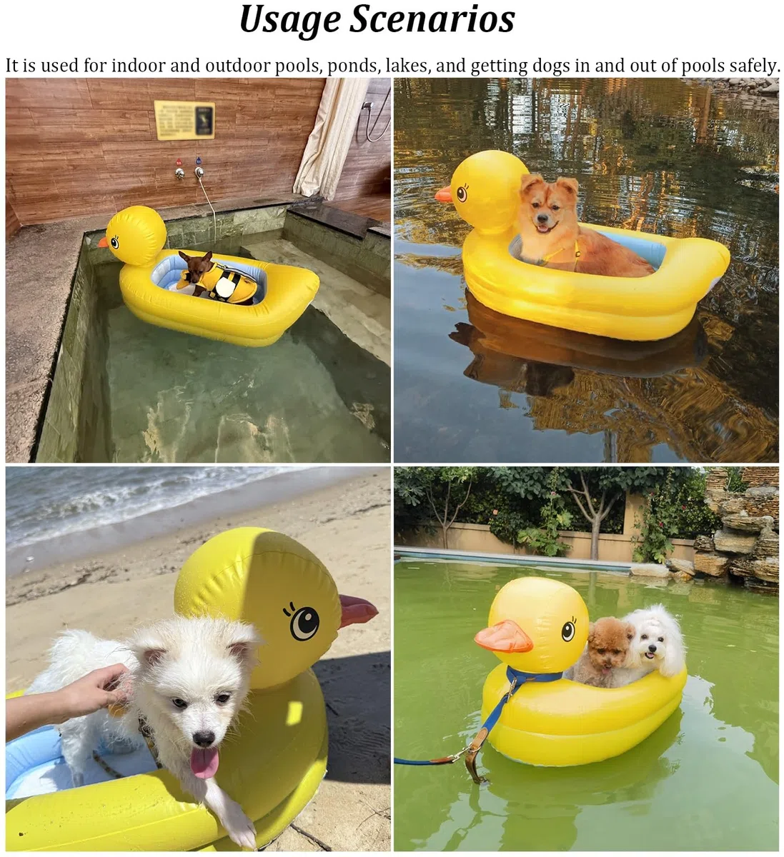 Rampa Piscina para Perros Cama Flotante para Perros para la Piscina, Rampa Perros Bomba