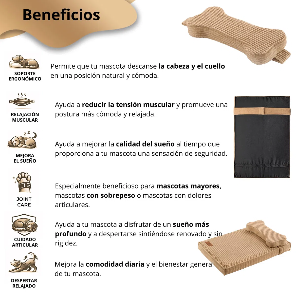 Cama Perro ortopédica antiestrés Lavable Funda Impermeable (Small)