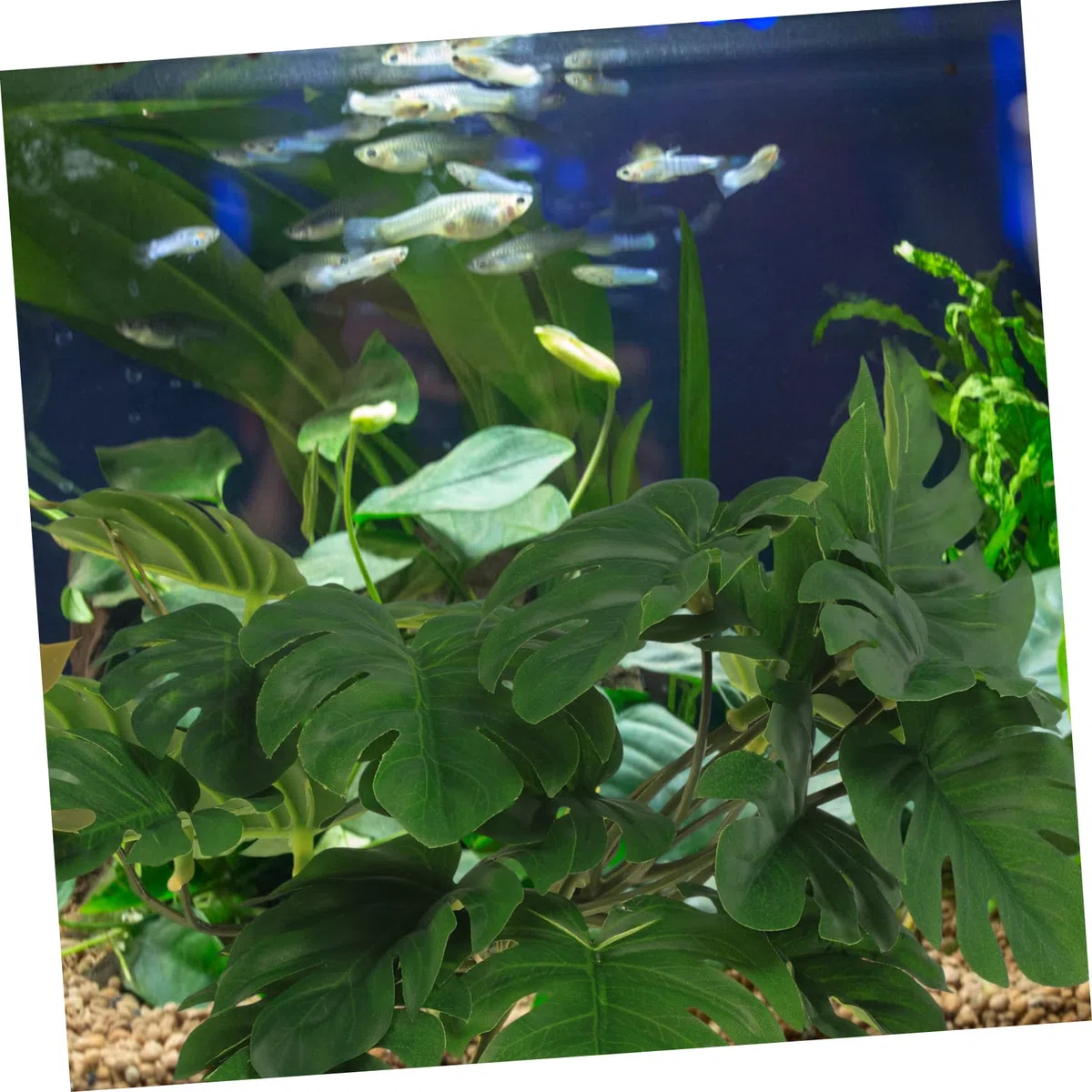 Kisangel 4piezas Terrario Decorativo Plantas Artificiales para Reptiles Accesorios De Hábitat Simulados para Acuarios y Terrarios Sin Daño Mascotas