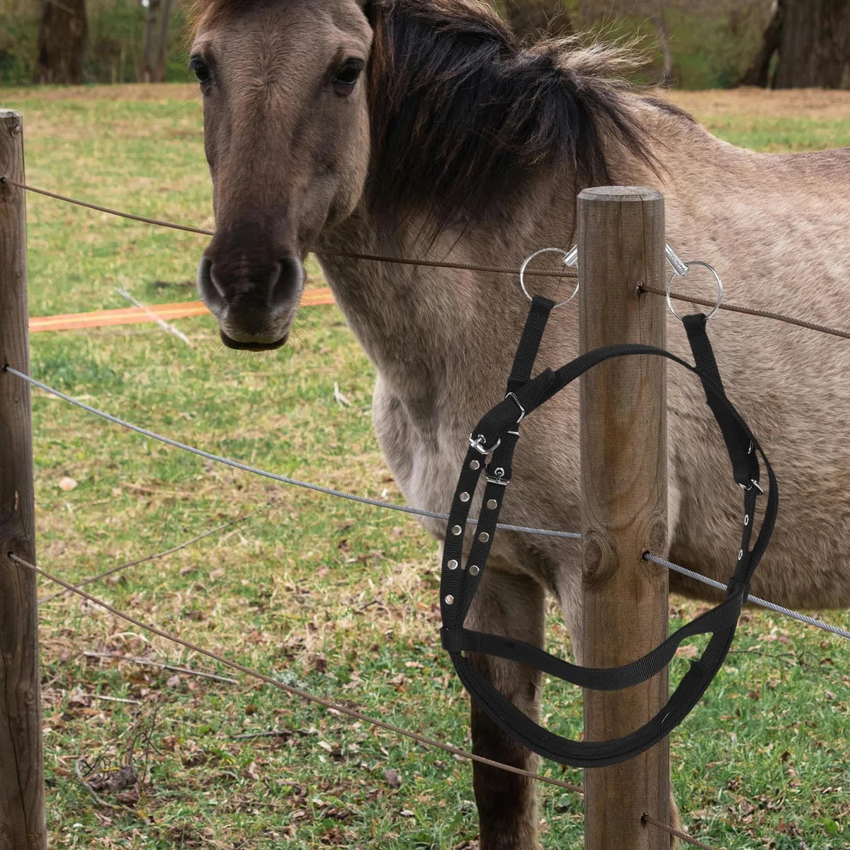 Cabestro de Cuerda para Caballo de Nylon Ajustable para Entrenamiento y Equitación en Establos y Paseos Cómodos