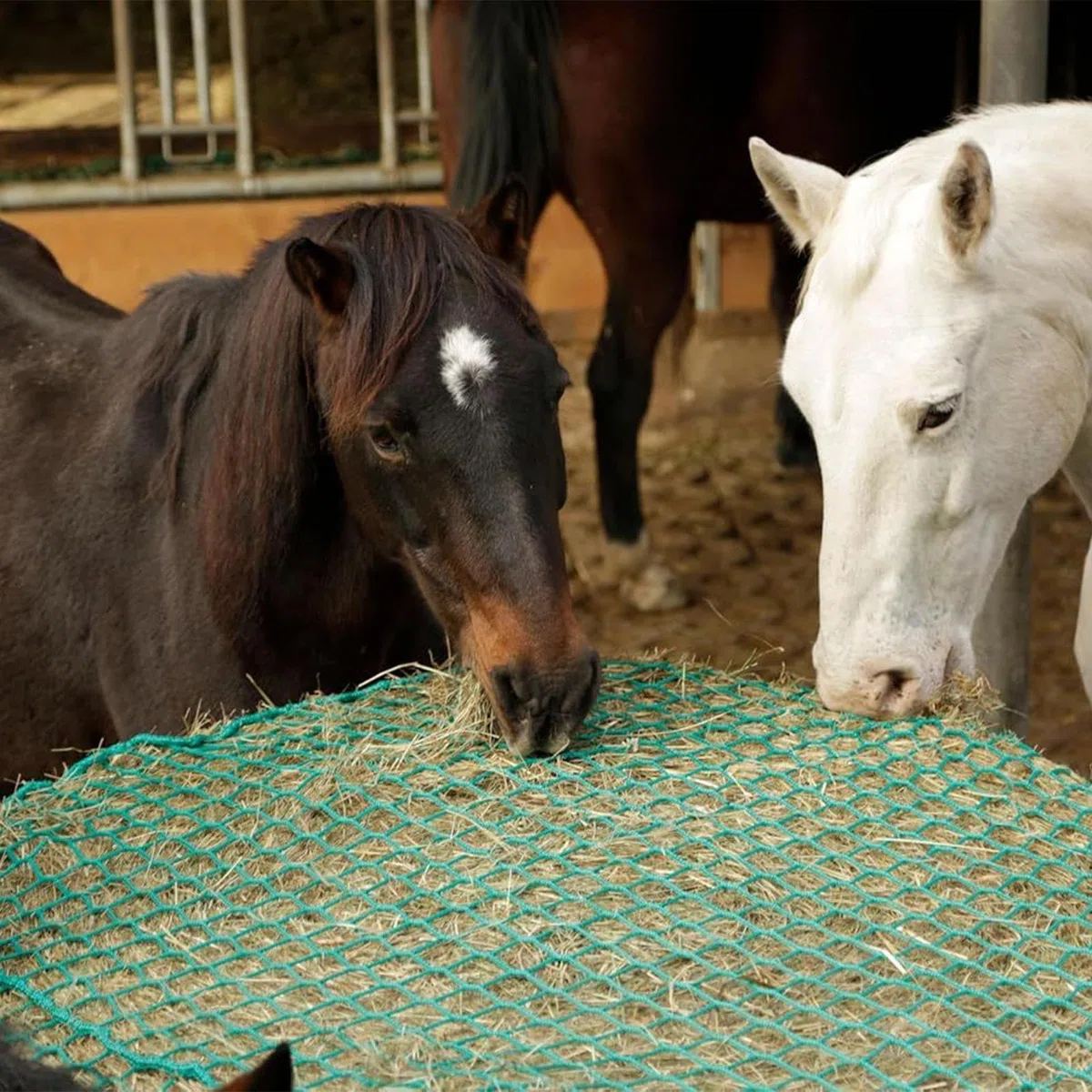 Redes De Heno De Alimentación Lenta para Caballos Almacenamiento De