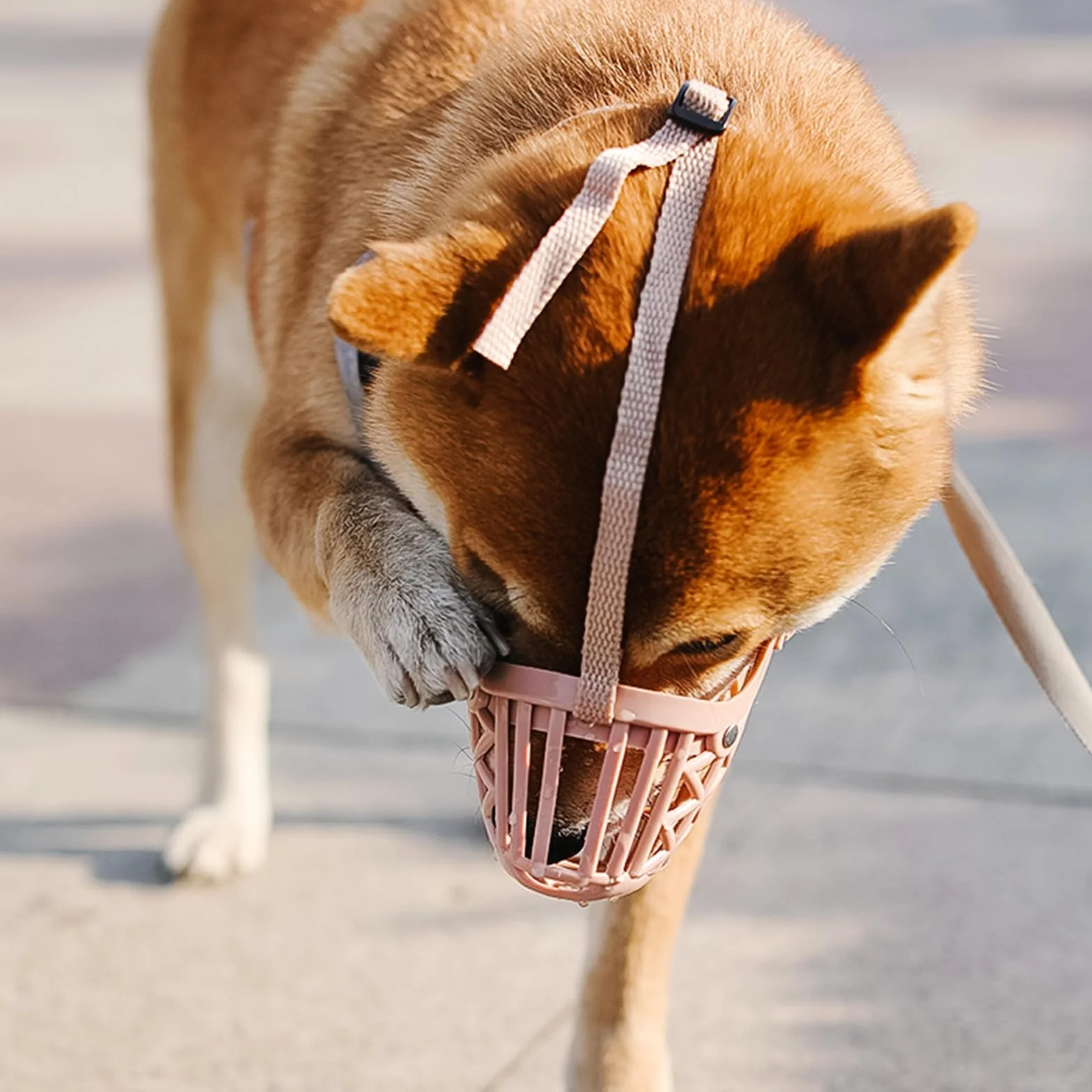 Bozal Suave for Perros, bozal de Malla Suave for Perros, Malla, Ajustable, bozales de Cesta Suave, cómodos, Transpirables, Ajuste rápido,Bozal para Perro(No. 2)