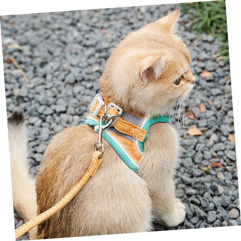 BESPORTBLE 3juegos Arnés Reflectante Ajustable para Gatos y Perros Pequeños Correa Antiescape para Paseos Seguros Al Aire para Mascotas