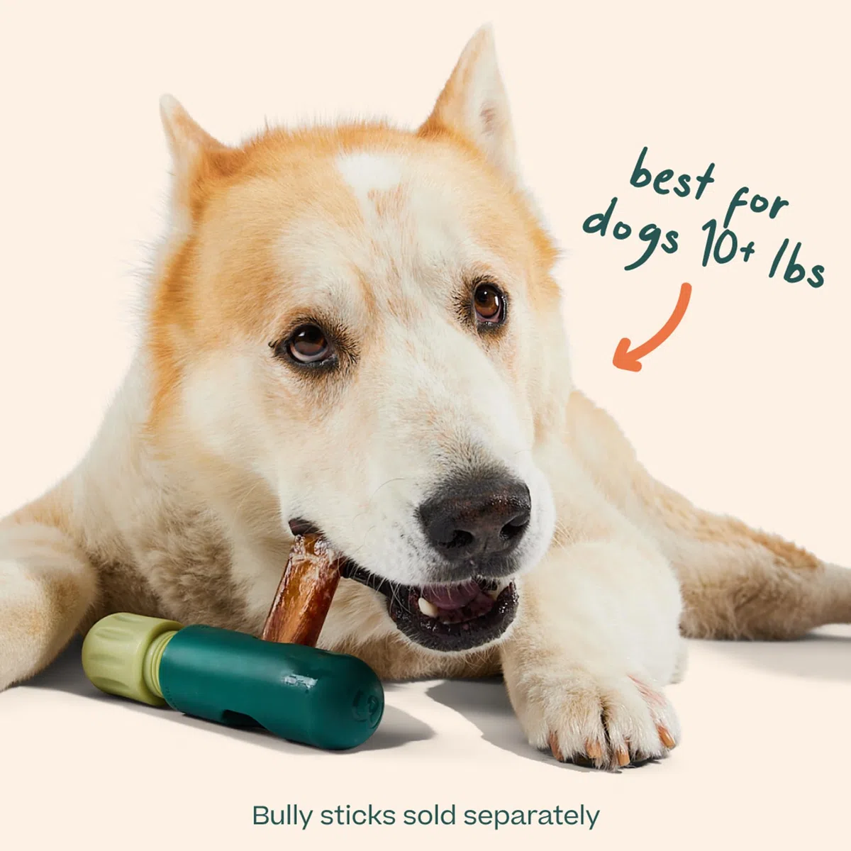 WOOF BullySafe - Soporte para Palos de Toro, Soporte Duradero para Masticar para Perros para un Juego Seguro y Duradero, fácil de Limpiar, no más Extremos tragados