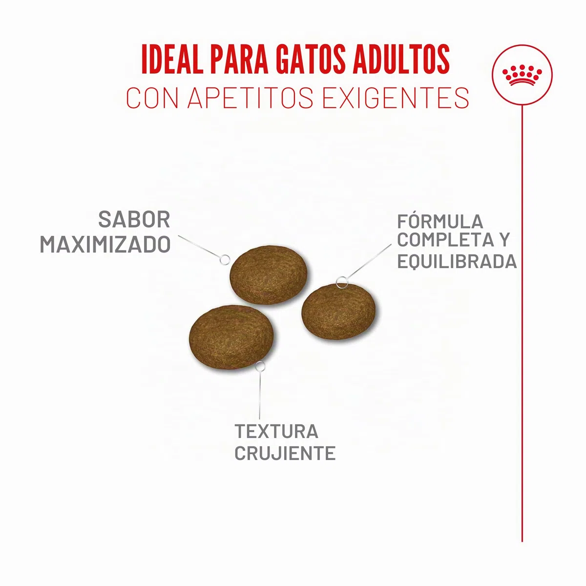 Royal Fussy Exigent PIENSO Gato Adulto 1X10KG