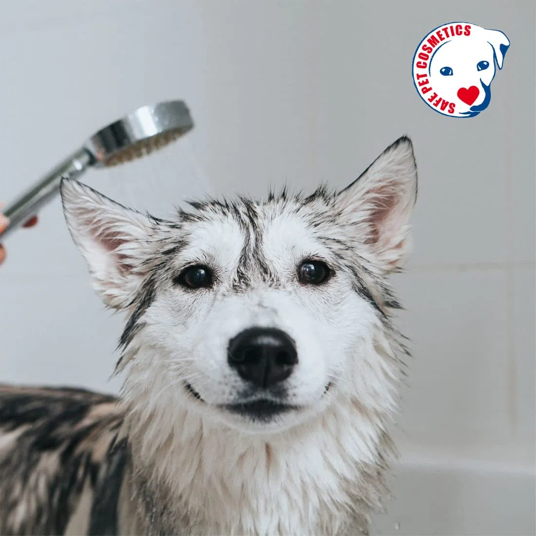 Máscara de Naranja - Mascarilla para Perros - 1L - Contribuye a Prevenir la Caída del Pelo - Artículo de Higiene para Perros - Acción Reparadora - IV San Bernard