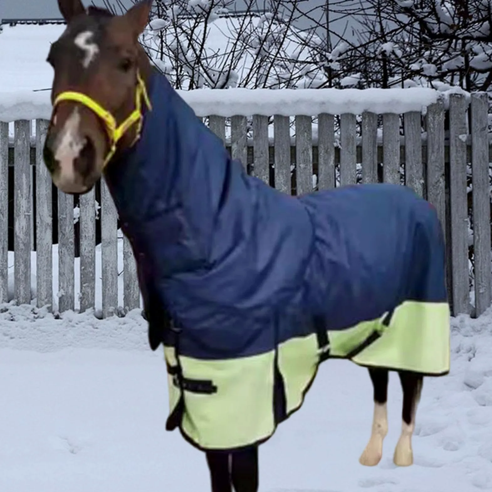 Manta de Invierno para Caballo Impermeable Y Resistente Al Frío Manta Gruesa con Cubre Cuello Cobija de Pastoreo Transpirable Abrigo de Tela Oxford 60