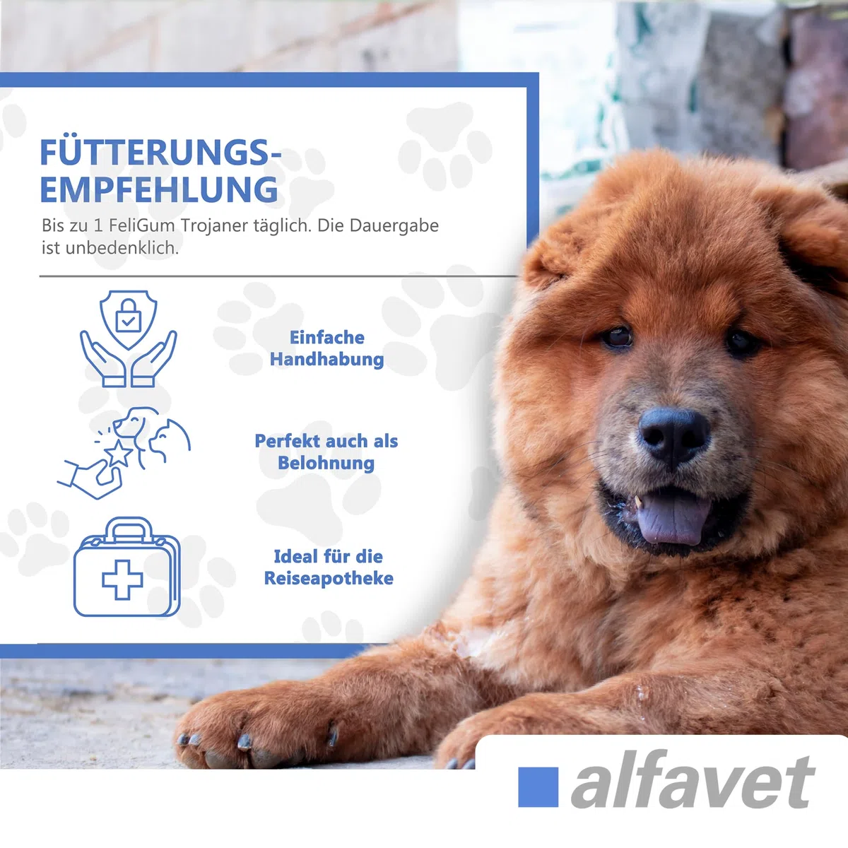 Alfavet FeliGum Troyano Caja 30 x 10 g Escondite Medicamentos Moldeable como Snack Complemento Alimento Complementario para Perros y Gatos