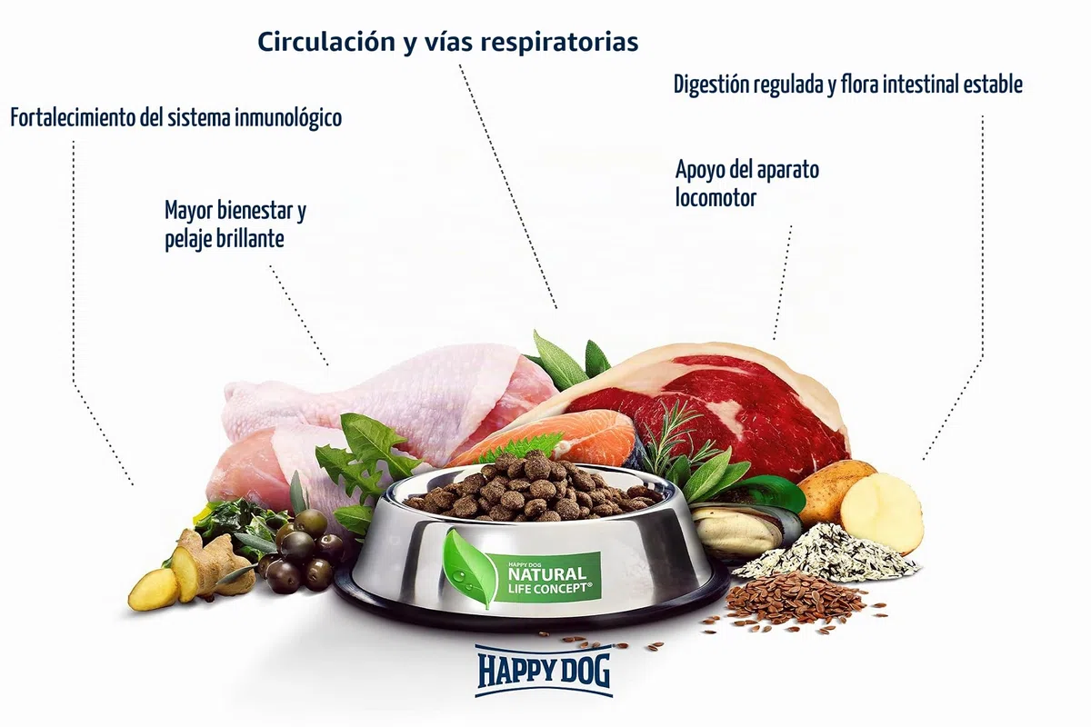 Happy Dog 60766 - Supreme fit & Vital Senior - alimento seco para Perros Mayores - 12 kg de Capacidad
