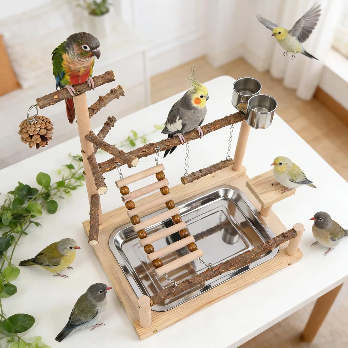 Parque De Juegos De Periquitos Parque de Juego de Madera | Soporte De Perchas Para Aves Con Tazón Y Bandeja De Acero Inoxidable Para Cotorras Pinzones Agapornis Entrenamiento