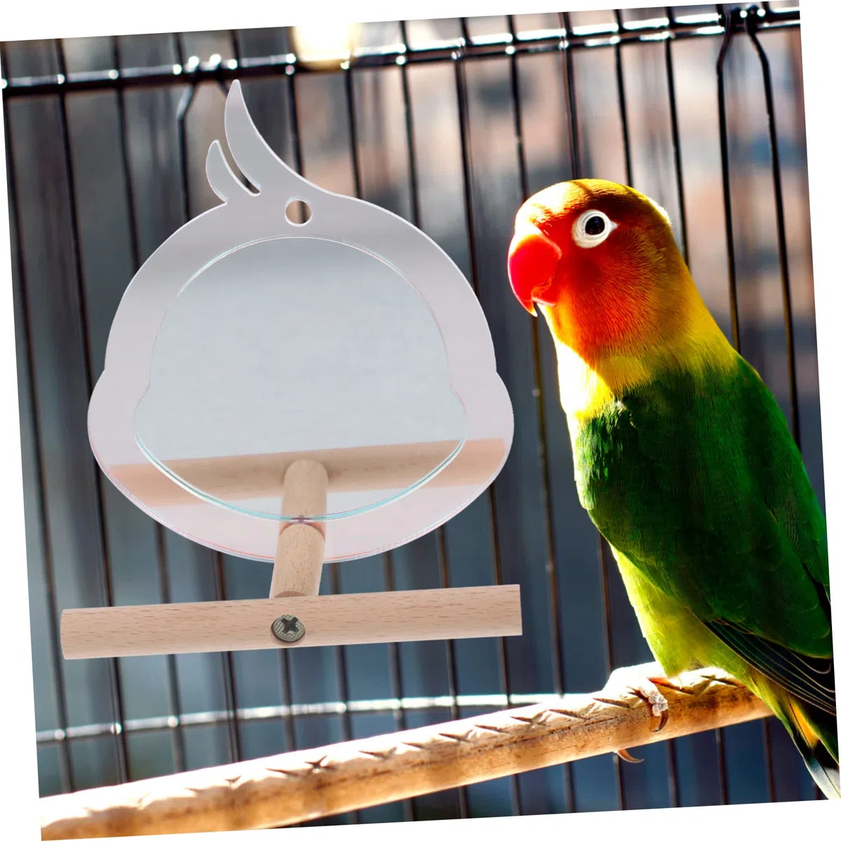 YARNOW 5piezas Perch para Aves Pequeñas Soporte Resistente para Periquitos y Juguete De Descanso y Ejercicio Diseño Chic Accesorio para Jaula De