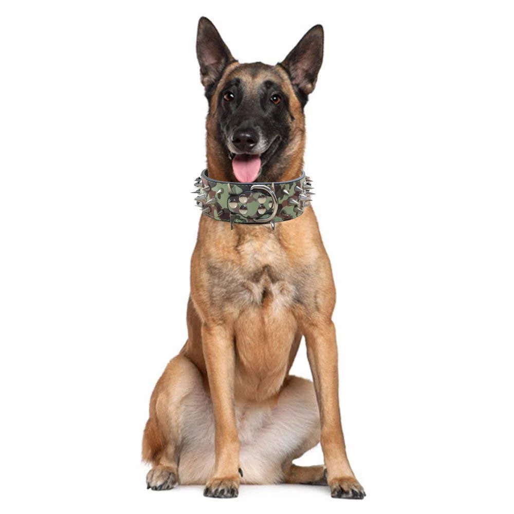 Collar y correa de piel de 5 cm de ancho, 2 unidades, juego a juego para perros medianos y grandes Pitbull Husky Mastiff Terrier (XL 21-24 pulgadas, leopardo rosa)