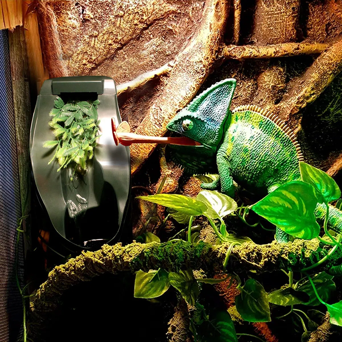 Fuente de Bebida para Reptiles Camaleón Cantina con Goteo de Agua Incluye Pinzas para Alimentar y Pinza Esmerilada para Anfibios, Insectos, Lagartos, Tortugas, Serpientes, Arañas, Ranas y