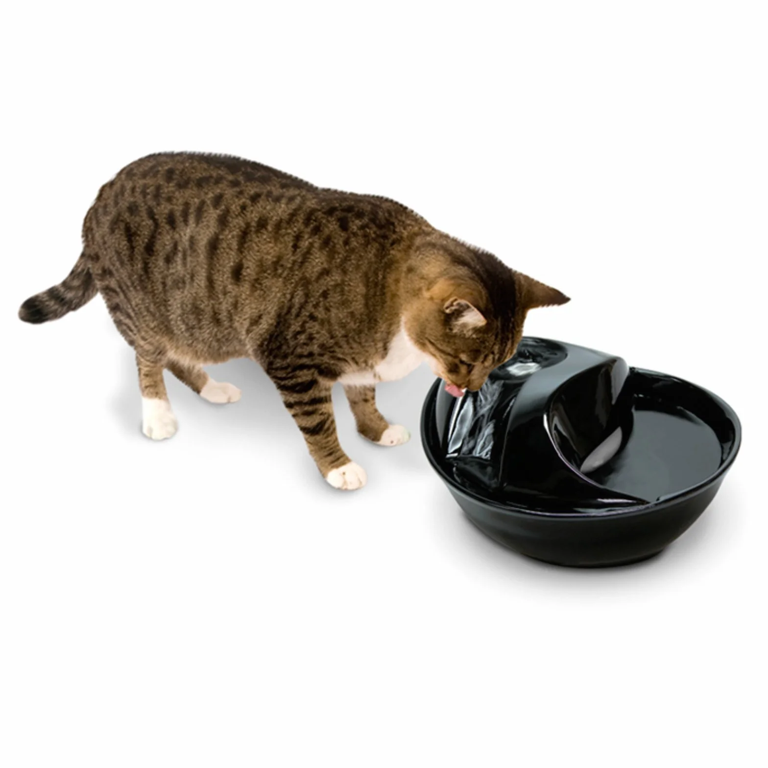 Pioneer Pet Raindrop - Fuente de cerámica para Mascotas, Color Blanco