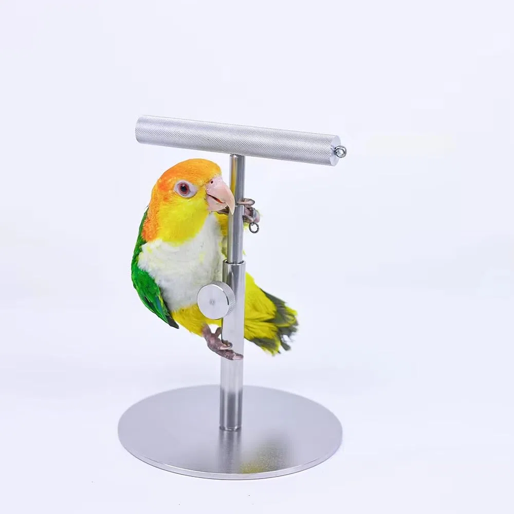 Soporte de Escritorio para Loros, Percha de Entrenamiento Totalmente Metálica para Aves