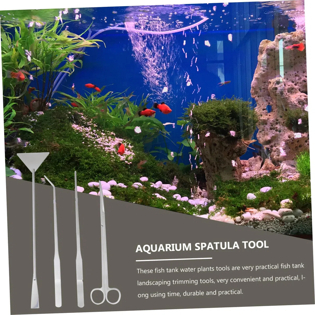 Juego de Herramientas para Plantas de Acuario de Acero Inoxidable, 1 Set