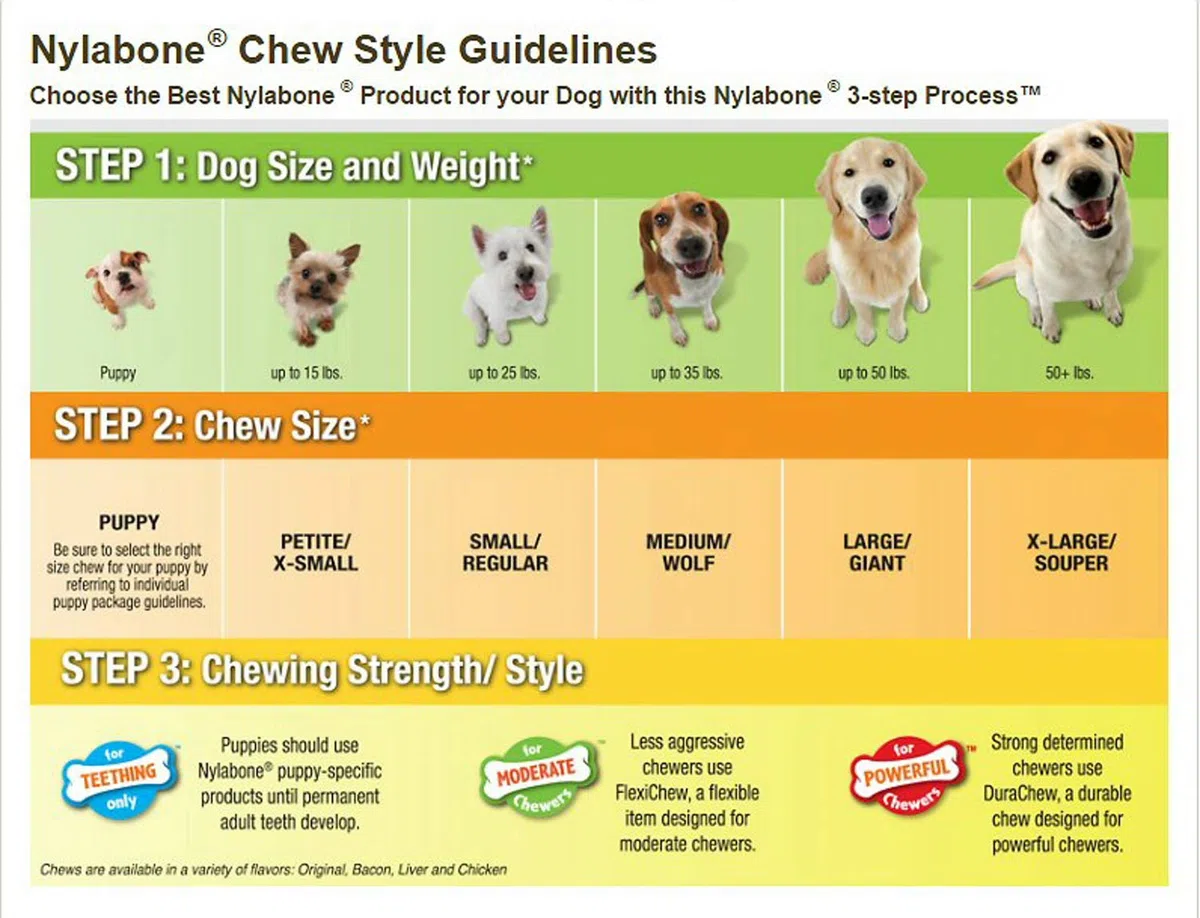 Nylabone Larga duración Resistente Chew Perro de Juguete Tamaño: Extra Grande (10 "H x 4,5 cm W x 3,81 cm D)