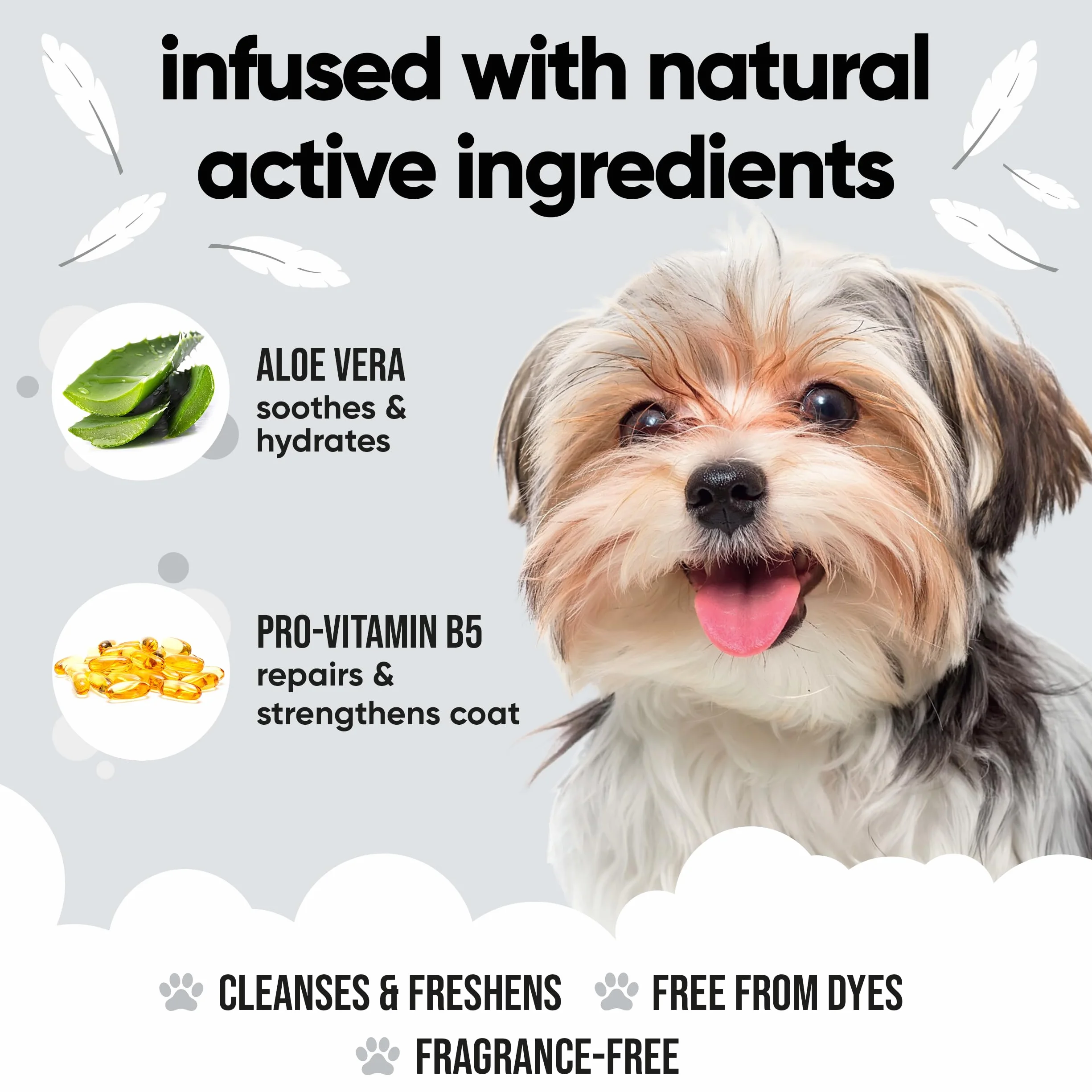 Buddycare Champú para Perros | con Aloe Vera y Pro Vitamina B5 Sensible a la Piel 5L